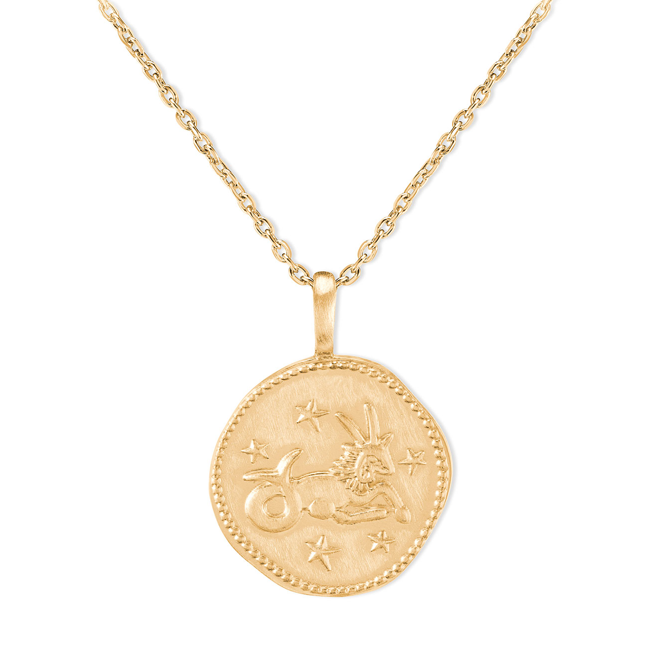 Collier zodiaque Capricorne