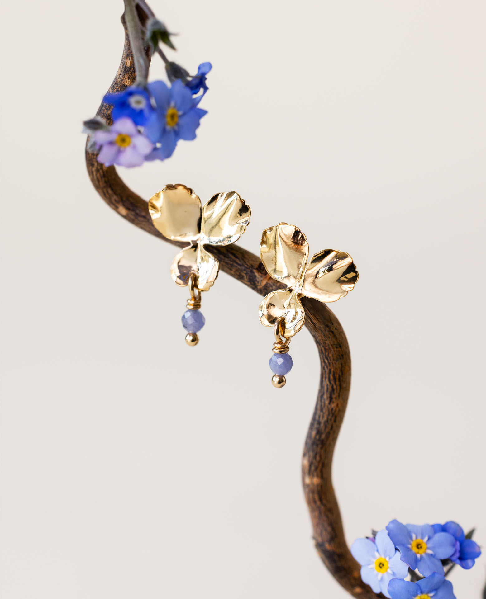 BO pensée PM Tanzanite
